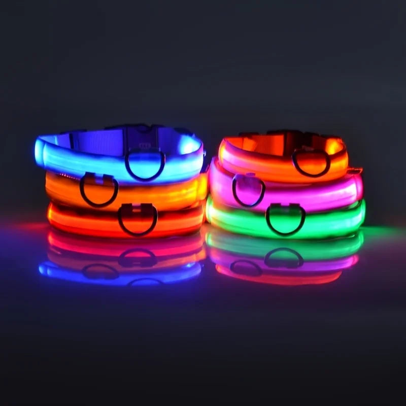 Fluorescent Pet Dog Collar