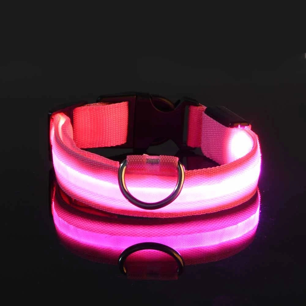 Fluorescent Pet Dog Collar
