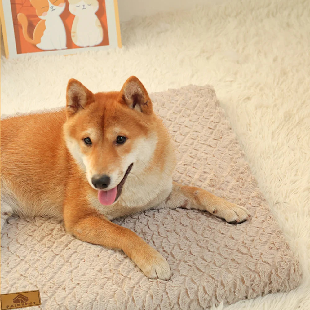 Pet Bed With Removable Washable