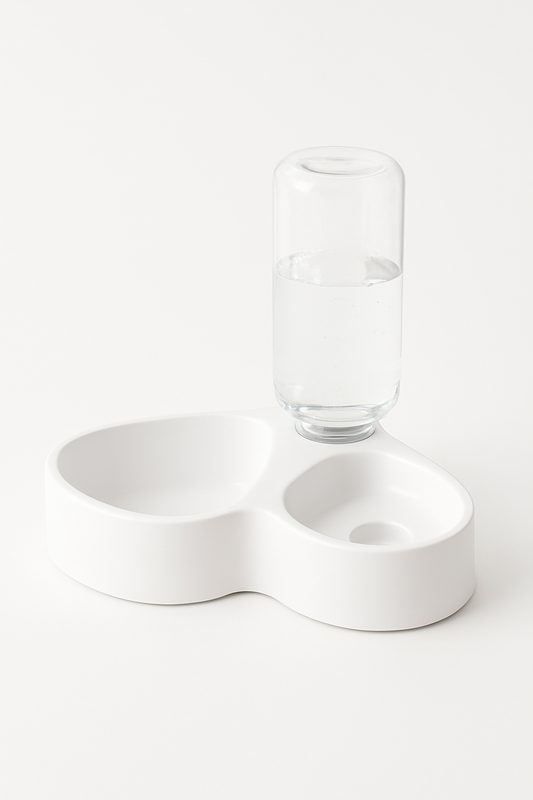 Automatic Pet Feeder & Water