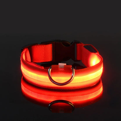 Fluorescent Pet Dog Collar