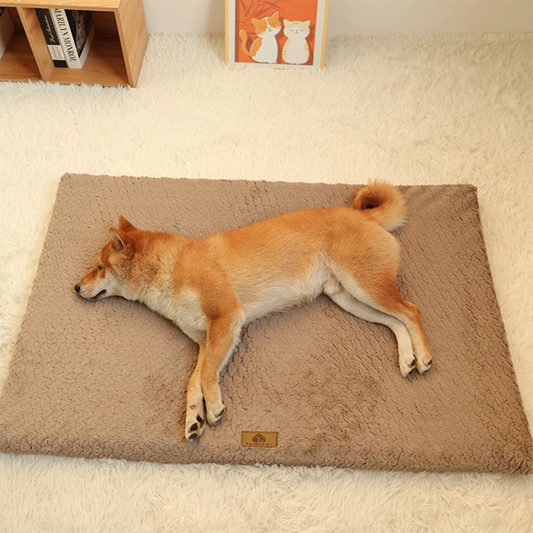 Pet Bed With Removable Washable