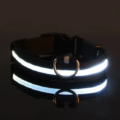Fluorescent Pet Dog Collar