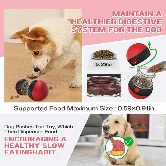 Dog Puzzle Toy Elliptical Track Rolling Increase Intelligence Ball