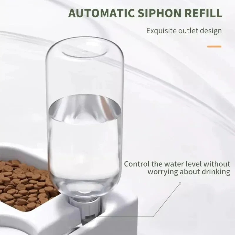 Automatic Pet Feeder & Water