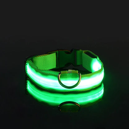 Fluorescent Pet Dog Collar