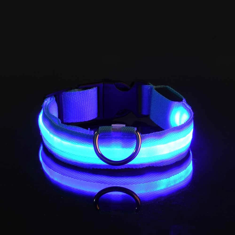 Fluorescent Pet Dog Collar