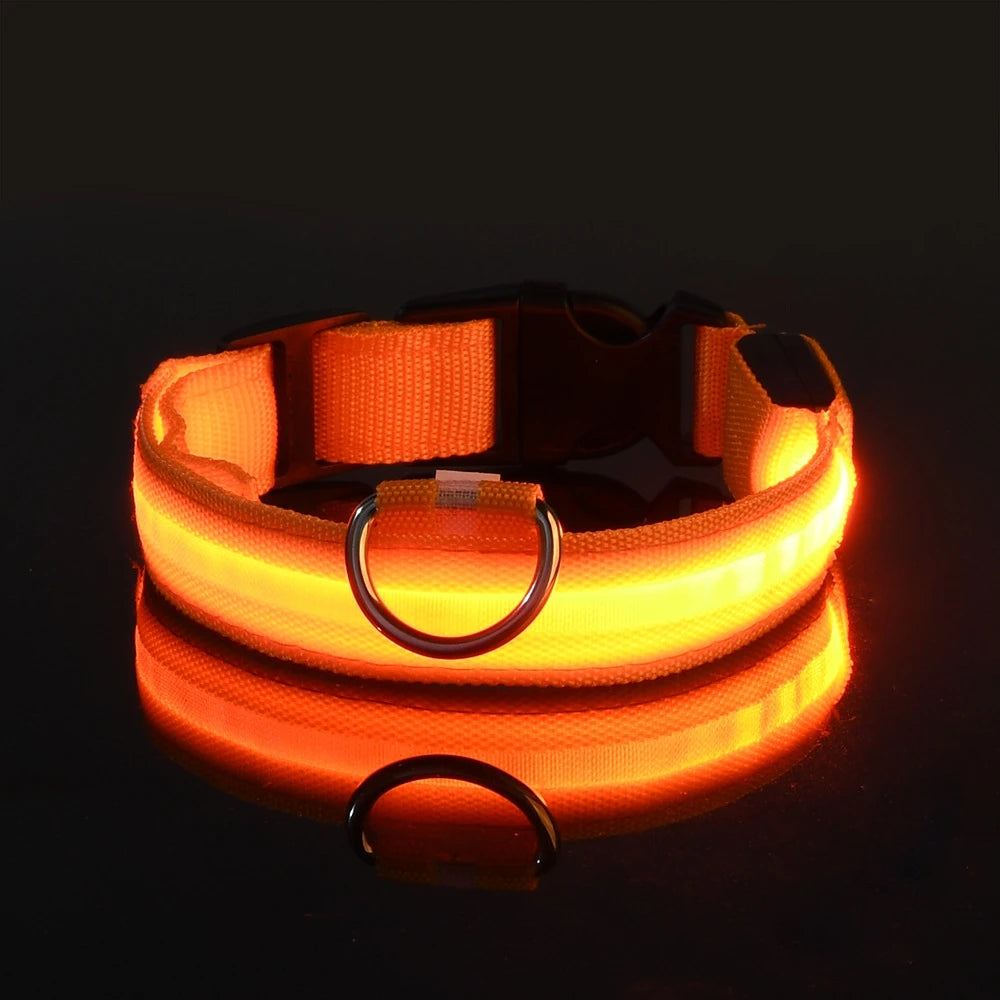 Fluorescent Pet Dog Collar