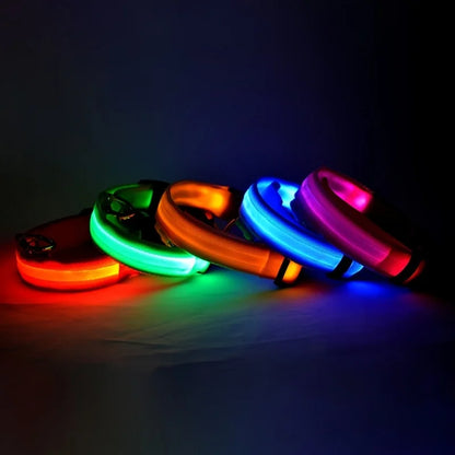 Fluorescent Pet Dog Collar