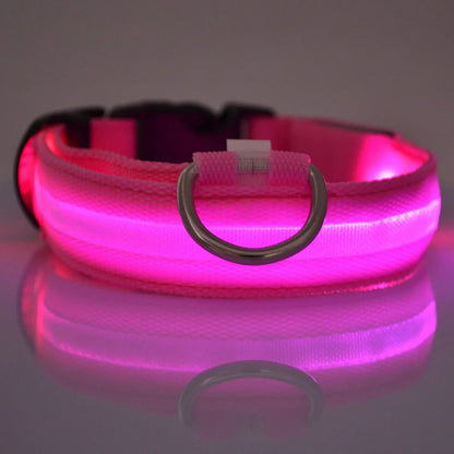 Fluorescent Pet Dog Collar