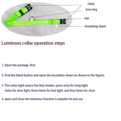 Fluorescent Pet Dog Collar