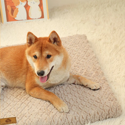 Pet Bed With Removable Washable